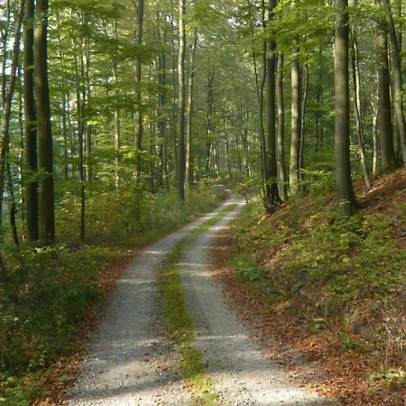 Comfortable Holiday In The Weser Uplands With Sauna شقة